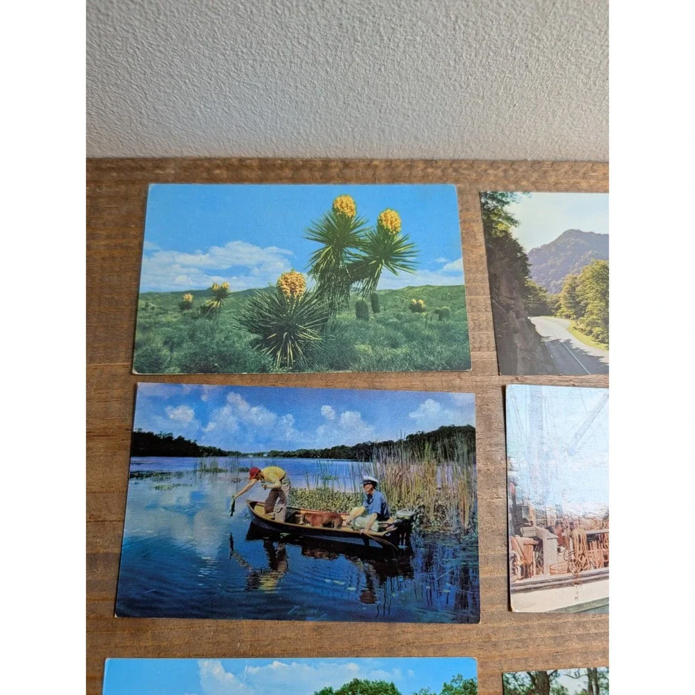 Vintage Unused Postcard Lot 11ct Scenic Travel Florida Arizona Chrome Era Retro